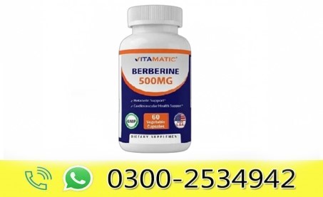 Vitamatic Berberine Supplement 500mg in Pakistan